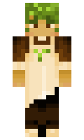 13f5603e80ac2a minecraft skin