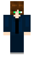 NviJ minecraft skin