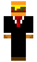 Foolzgold minecraft skin