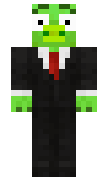 Selts minecraft skin