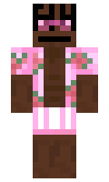 N1TR5 minecraft skin
