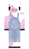 1434a6eabce8c7 minecraft skin