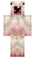 RoyhoudvanDylana minecraft skin