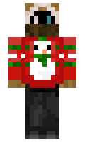 1453eb1e9efe54 minecraft skin