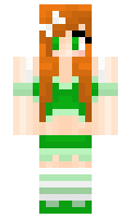 Sorter minecraft skin