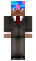 terd minecraft skin