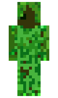 14aff95afca704 minecraft skin