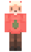 14ced1d0bf9a37 minecraft skin