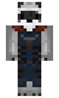 RoverCam minecraft skin