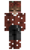 1505d03680aa55 minecraft skin