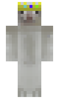 151d510a78063d minecraft skin