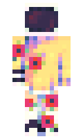 Hans1654 minecraft skin