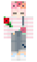 SafeSkydiver303 minecraft skin