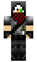 minecarft minecraft skin