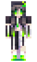 Maxhunter3655 minecraft skin