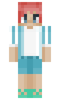 15733d5f12df35 minecraft skin