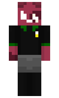 FryCheems minecraft skin