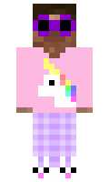 stat minecraft skin