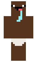 15bc9572e1d253 minecraft skin