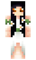 veeio minecraft skin