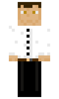 1601f7fa09f65e minecraft skin