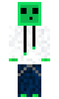 1614239bc981f5 minecraft skin