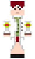 161b473da4a413 minecraft skin