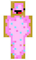 PopTartsRock1 minecraft skin