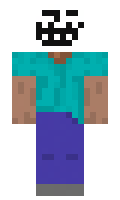 163f9ecb3b3fbd minecraft skin