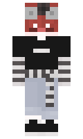 salomonpros minecraft skin