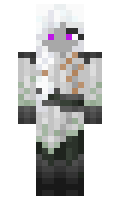 166a014e9e98a9 minecraft skin