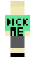 1681cb7c3e971c minecraft skin