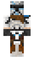 Dzienys minecraft skin