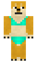 amazon minecraft skin