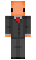 MiniEvad minecraft skin