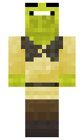 1737cab1b2d1fe minecraft skin