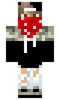 NiceCam minecraft skin