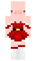 edu213 minecraft skin