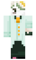 176b64decadcd9 minecraft skin