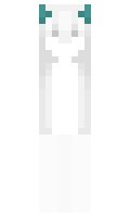 paszyy minecraft skin