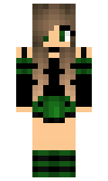 1786ecc0a8b5e5 minecraft skin