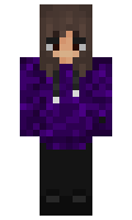 17898351708945 minecraft skin