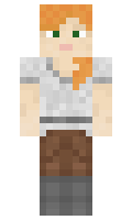 178d5302fc39d3 minecraft skin