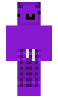 1798a176e9721c minecraft skin