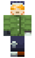 179ac0920c0ebd minecraft skin