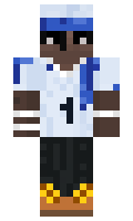 paraujolab minecraft skin