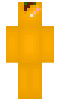 HDMI minecraft skin
