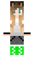 1803a656f73288 minecraft skin