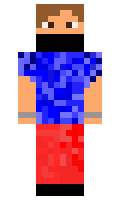 MicMac45 minecraft skin