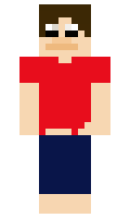 1814c833221fd6 minecraft skin